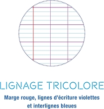 Cahier de textes Clairefontaie E5 Mimesys séyès (grands carreaux)