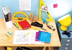 Cahier de textes Clairefontaie E5 Mimesys séyès (grands carreaux)