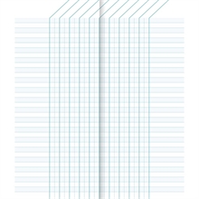 Carnet de bord Clairefontaine 85 x 200 mm - 16 feuilles