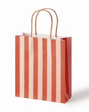 Pqt de 20  Sac en papier 