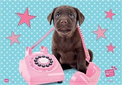 Sous-main Studio Pets Chien