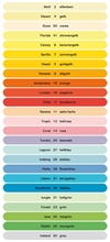 Pqt de 500 flles de papier photocopie ColorAction couleur  A4 - 80 g/m²